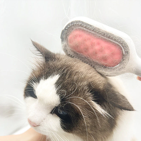 Brosse de Toilettage pour Chats, Poils Longs et Courts