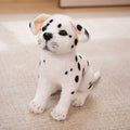 Jouet en peluche pour chiot, peluche douce, ourson en peluche
