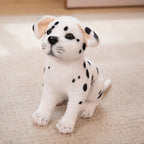 Jouet en peluche pour chiot, peluche douce, ourson en peluche