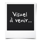 V6HF49677D04429031A815AA50F69D301BDR5567676P2