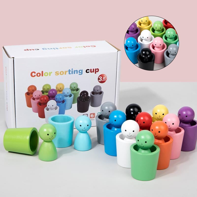 Montessori Color Sorting Cups