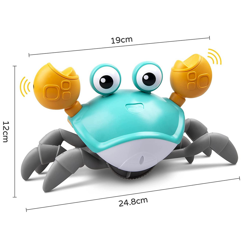 Crab crawling