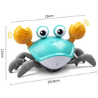 Crab crawling