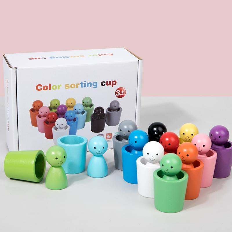 Montessori Color Sorting Cups
