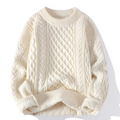 Pull en laine à mailles torsadées pour hommes