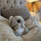 Compagnon de Respiration Relaxante | Apaisement et Sommeil Réparateur
