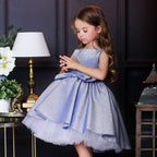Robe Princesse Scintillante