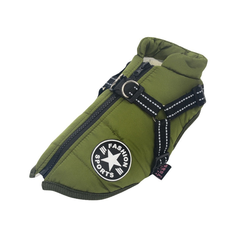 Veste pour chien verte avec harnais intégré, fermeture éclair, patch "Fashion Sports", idéale pour l'hiver. Accessoire pour animaux tendance.