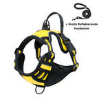 Harnais pour chien jaune et noir avec laisse réfléchissante gratuite, ajustable, confortable, idéal pour promenade et sécurité canine.