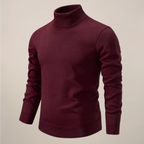 Men's spring turtleneck