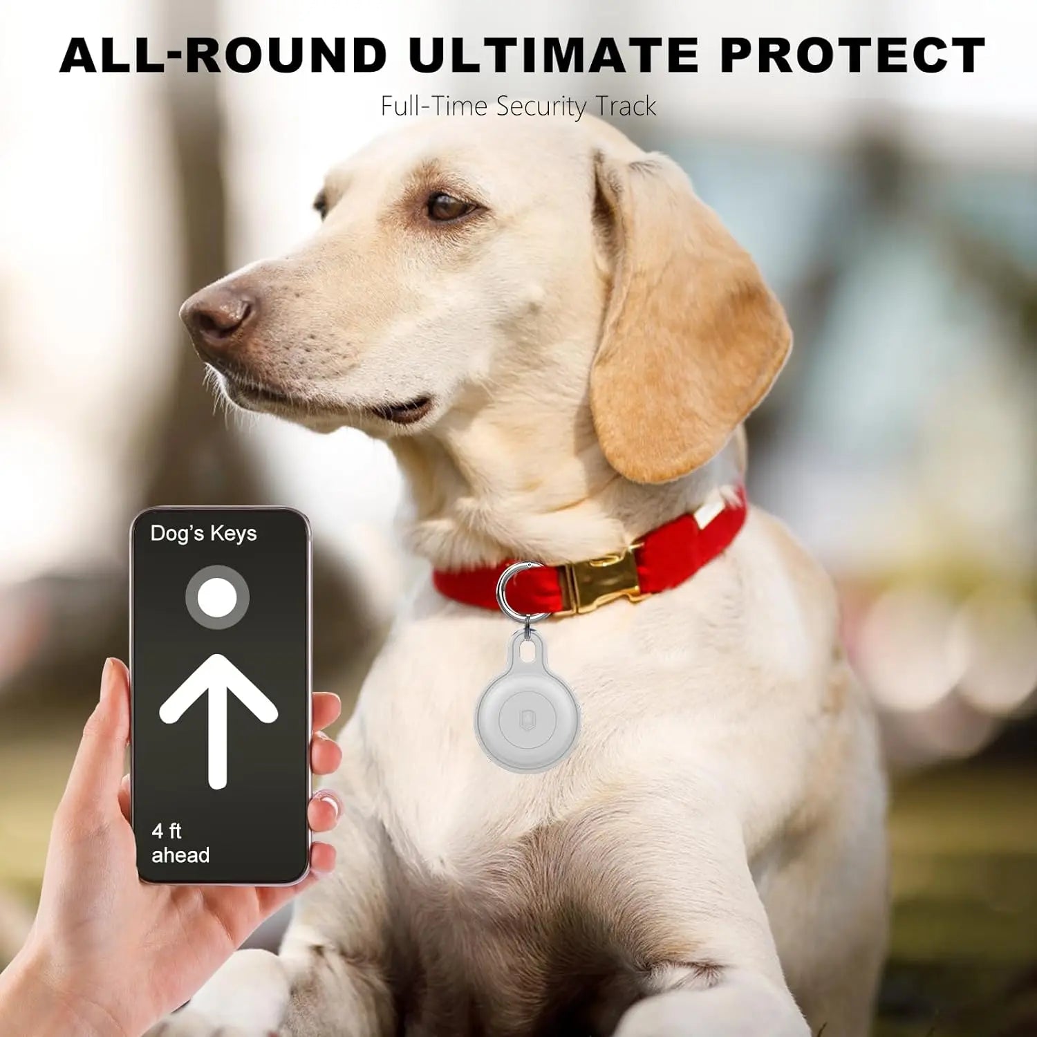 Ziggy Pet Tracker - Pour des aventures sans souci