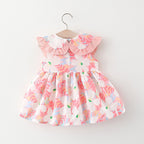 Romantic Baby Princess Dress