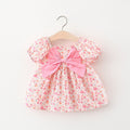 Baby Princess Floral Dress