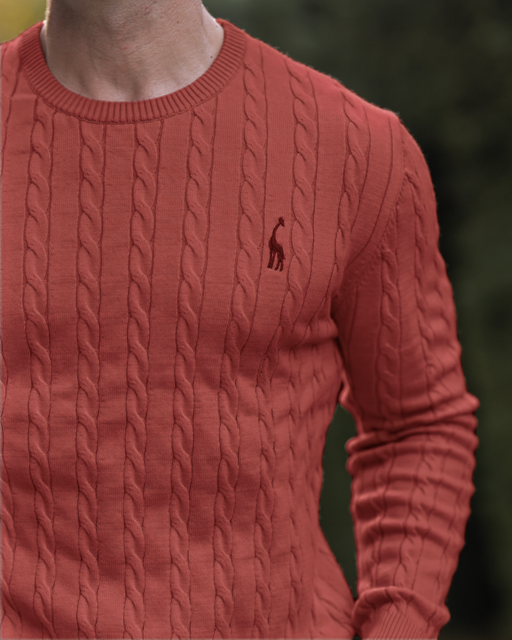 Pull torsadé rouge avec logo brodé, homme, mode automne, style élégant, vêtement chaud, col rond, tendance masculine, fond flou.
