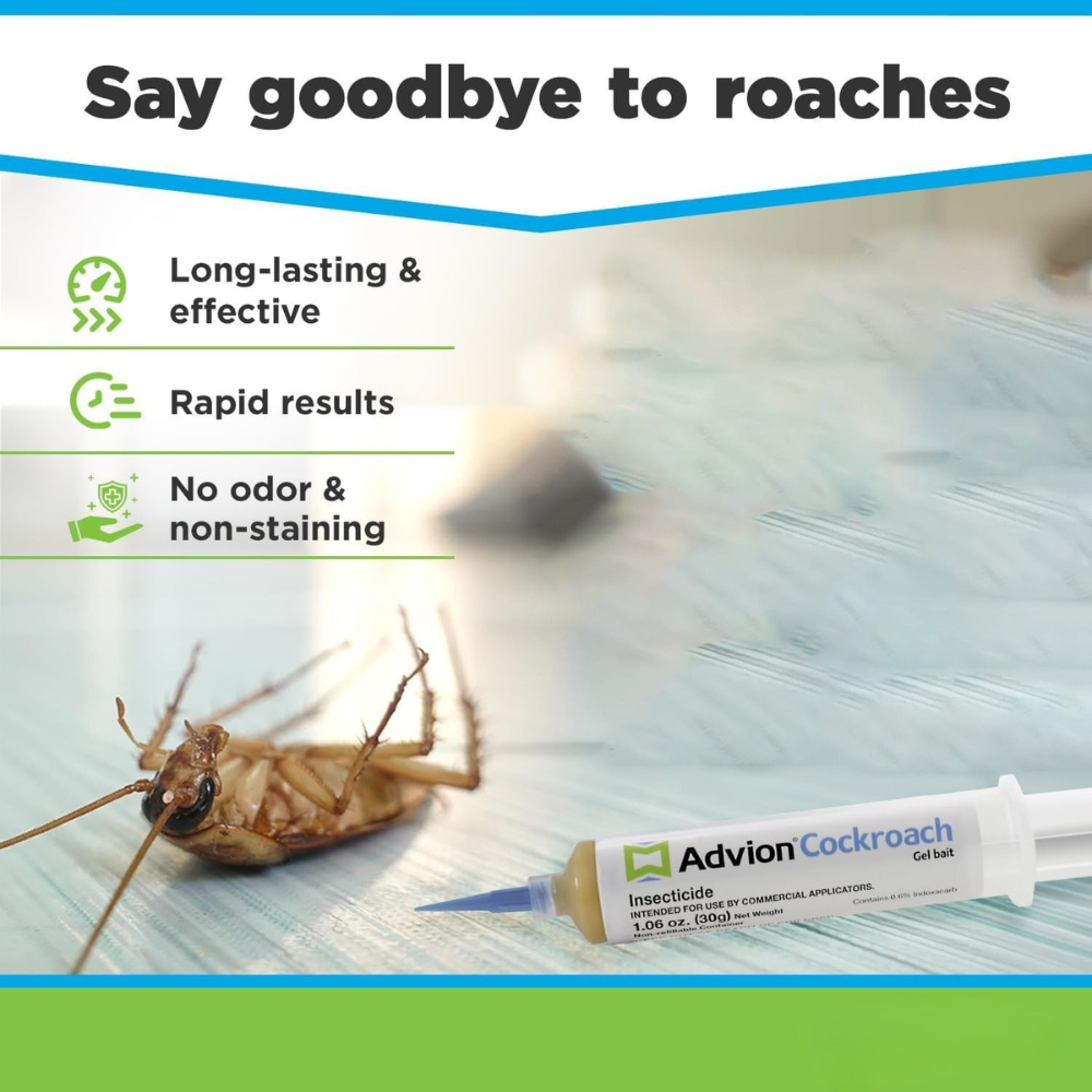 Appât en gel insecticide anti-cafards