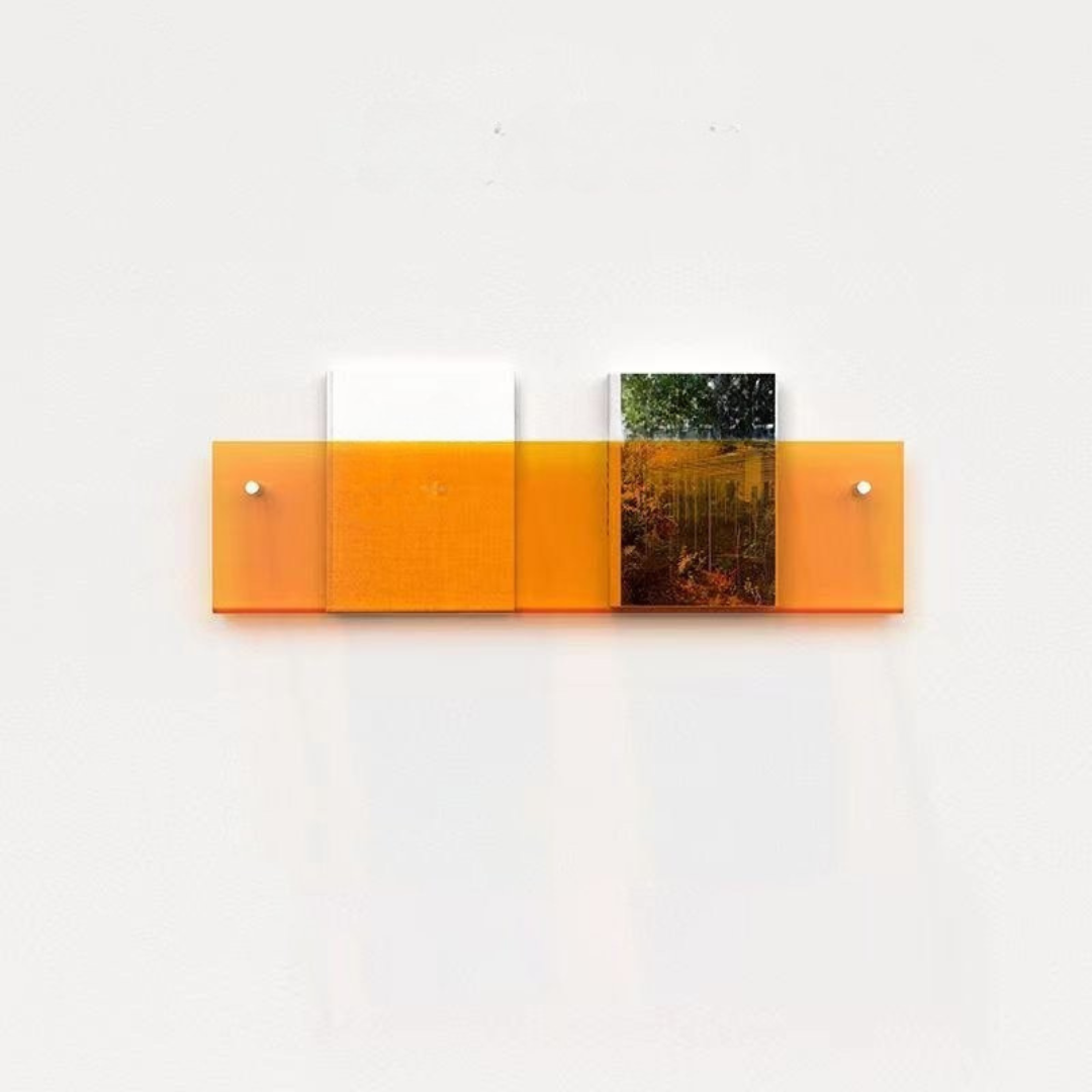 Etagère murale Porte-magazines en acrylique transparent