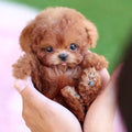 Jouet interactif pour chiot avec mouvement réaliste