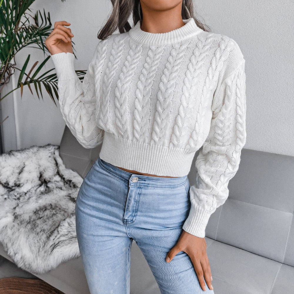 Pull tricot manches longues col rond