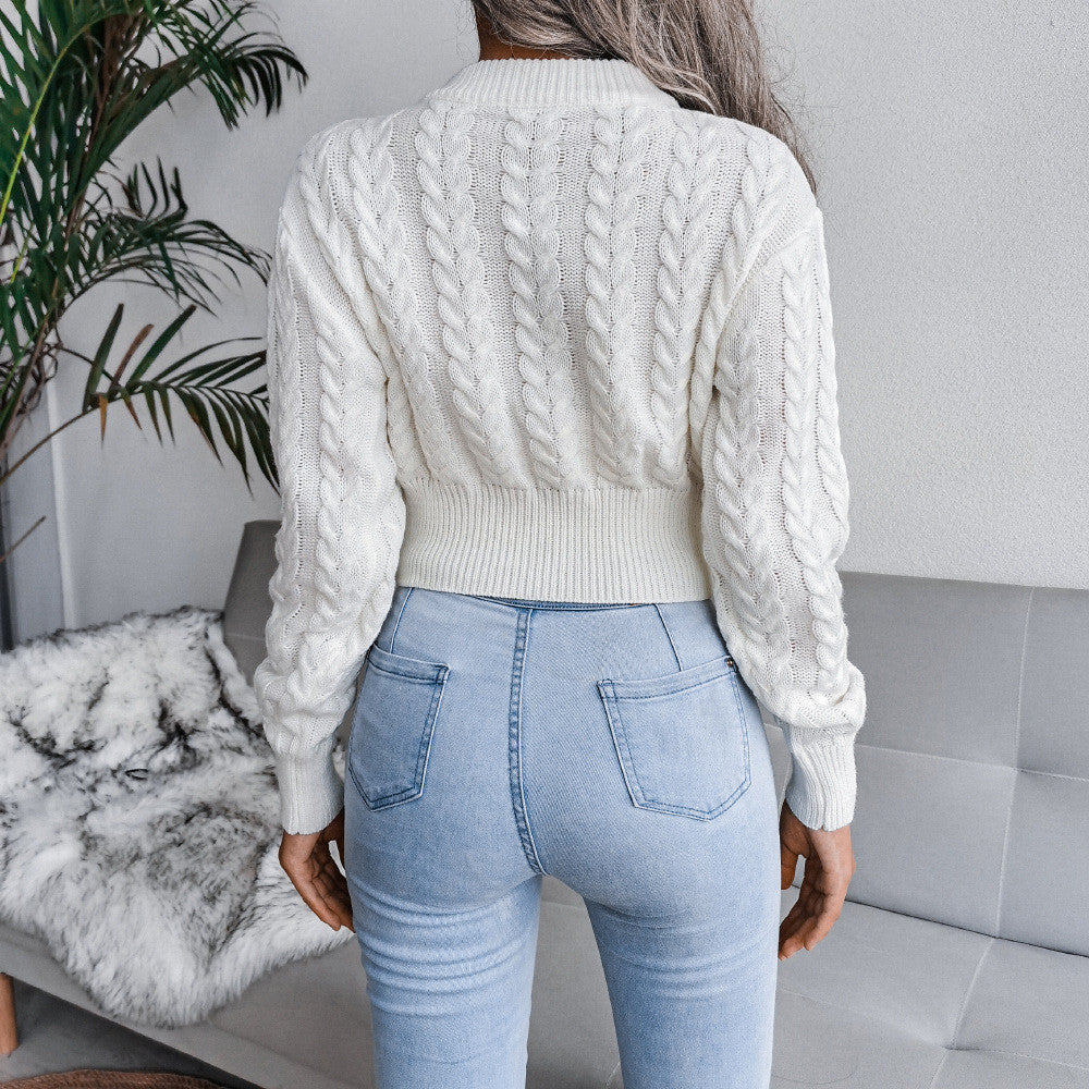 Pull tricot manches longues col rond