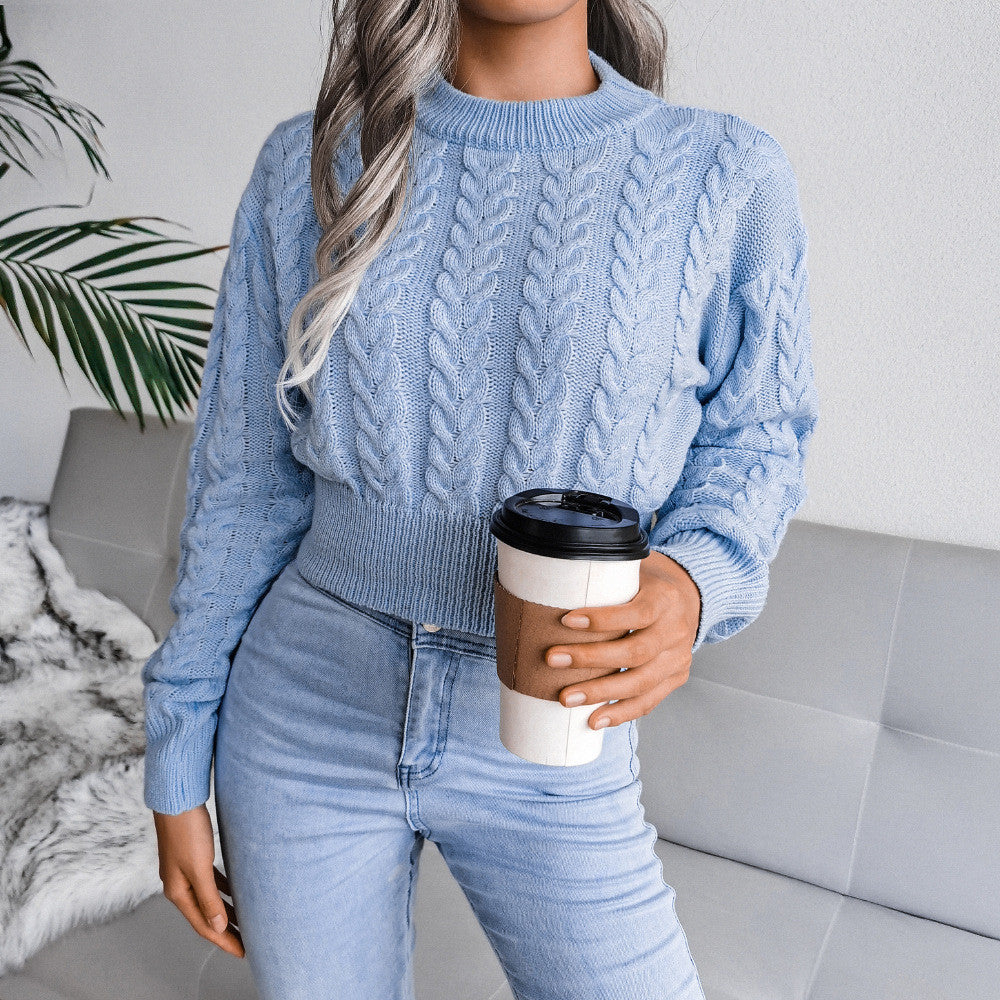 Pull tricot manches longues col rond